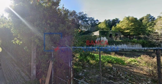 Terreno P/ Prédio para Venda em Santa Maria e São Miguel, São Martinho, São Pedro Penaferrim