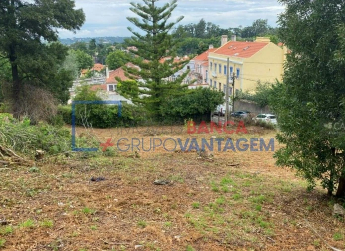 Terreno P/ Prédio para Venda em Santa Maria e São Miguel, São Martinho, São Pedro Penaferrim Foto 2