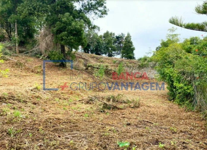 Terreno P/ Prédio para Venda em Santa Maria e São Miguel, São Martinho, São Pedro Penaferrim Foto 5