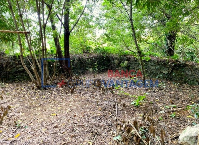Terreno P/ Prédio para Venda em Santa Maria e São Miguel, São Martinho, São Pedro Penaferrim Foto 6