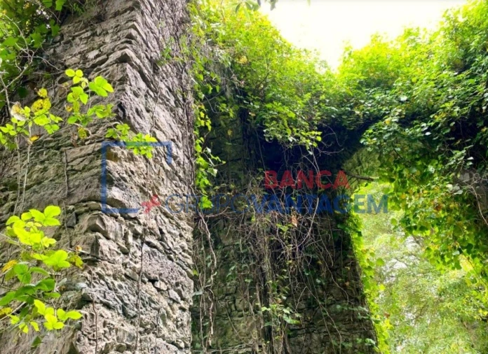 Terreno P/ Prédio para Venda em Santa Maria e São Miguel, São Martinho, São Pedro Penaferrim Foto 8