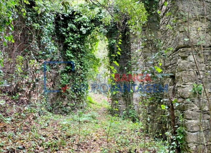 Terreno P/ Prédio para Venda em Santa Maria e São Miguel, São Martinho, São Pedro Penaferrim Foto 9