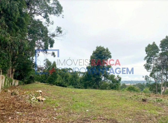 Terreno P/ Prédio para Venda em Santa Maria e São Miguel, São Martinho, São Pedro Penaferrim Foto 12