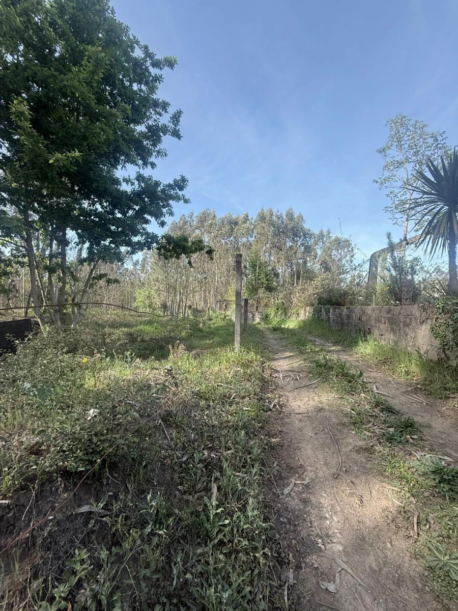 Terreno Agricola ou Rústico para Venda em Arca e Ponte de Lima Foto 3