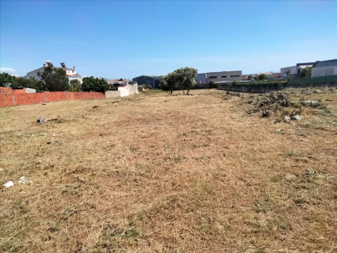 Terreno Agricola ou Rústico para Venda em Rio de Mouro Foto 4