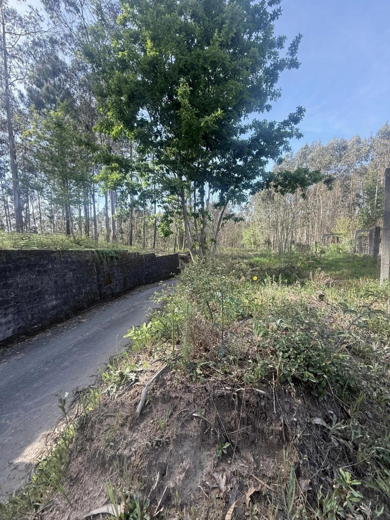Terreno Agricola ou Rústico para Venda em Arca e Ponte de Lima Foto 1