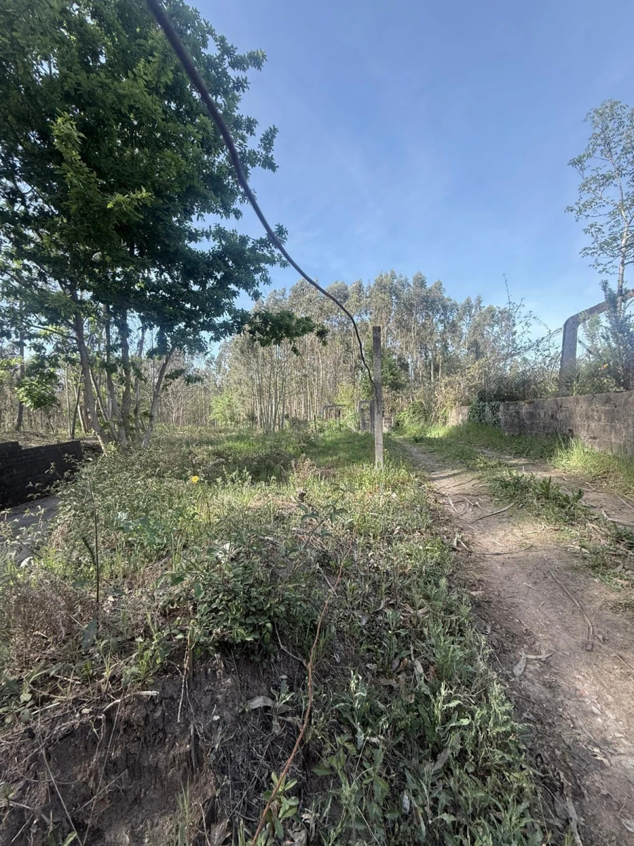 Terreno Agricola ou Rústico para Venda em Arca e Ponte de Lima Foto 2