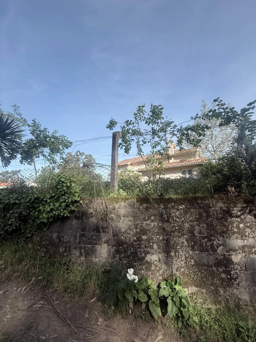 Terreno Agricola ou Rústico para Venda em Arca e Ponte de Lima Foto 4