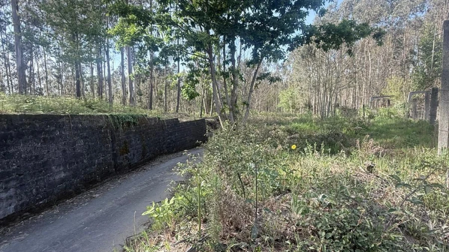 Terreno Agricola ou Rústico para Venda em Arca e Ponte de Lima