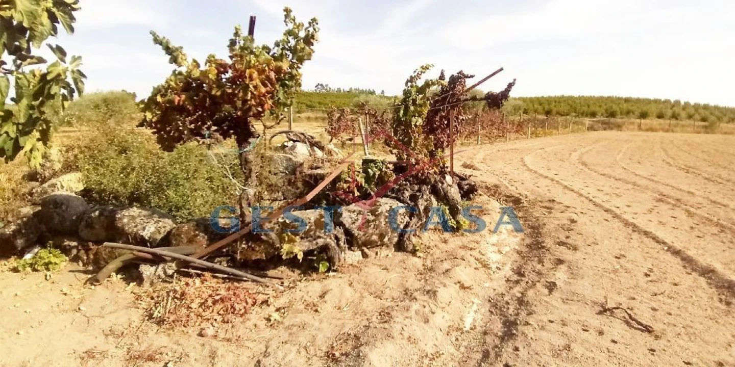 Quinta T1 para Venda em Póvoa de Atalaia e Atalaia do Campo Foto 9