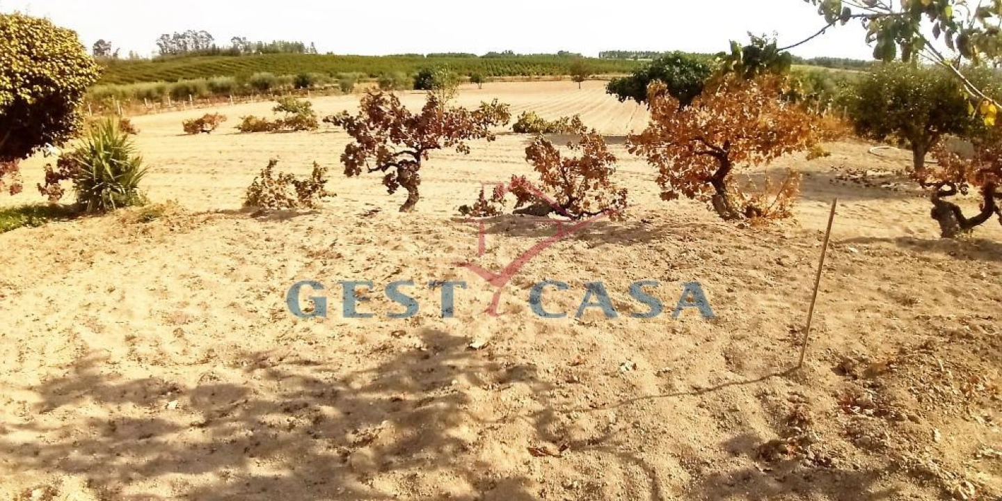 Quinta T1 para Venda em Póvoa de Atalaia e Atalaia do Campo Foto 10