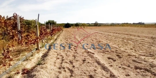 Quinta T1 para Venda em Póvoa de Atalaia e Atalaia do Campo