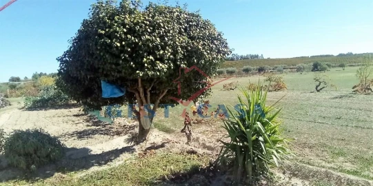 Quinta T1 para Venda em Póvoa de Atalaia e Atalaia do Campo