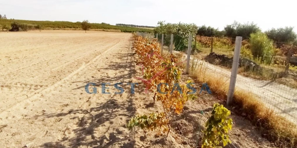 Quinta T1 para Venda em Póvoa de Atalaia e Atalaia do Campo Foto 12