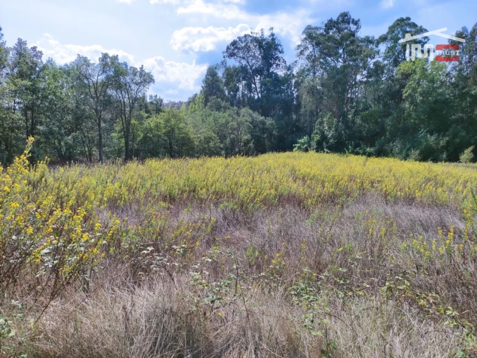 Terreno Agricola ou Rústico para Venda em Urqueira Foto 1