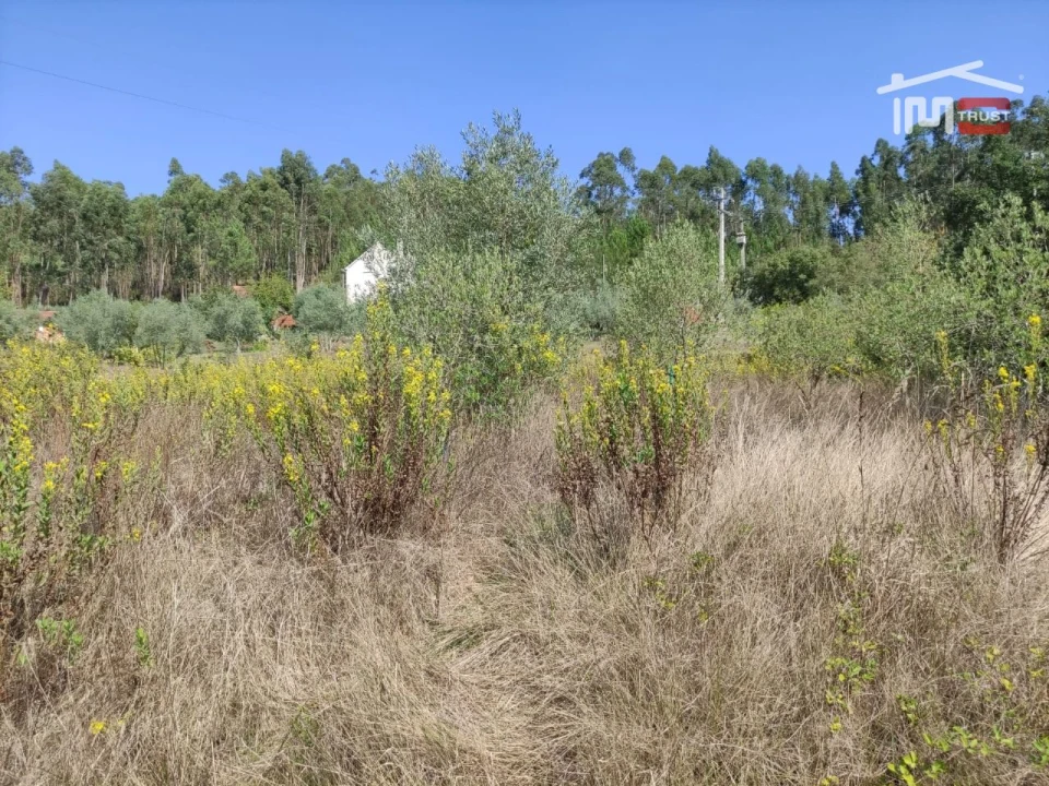 Terreno Agricola ou Rústico para Venda em Urqueira Foto 2