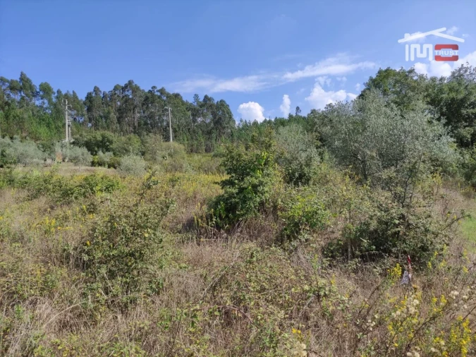 Terreno Agricola ou Rústico para Venda em Urqueira Foto 3