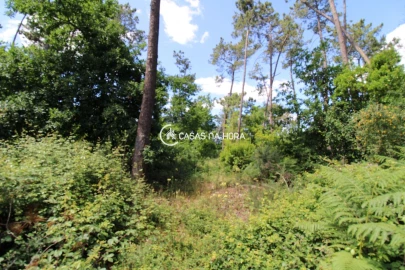 Terreno P/ Prédio para Venda em Orgens