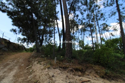 Terreno P/ Prédio para Venda em Orgens