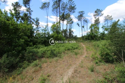 Terreno P/ Prédio para Venda em Orgens