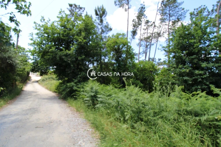 Terreno P/ Prédio para Venda em Orgens Foto 2