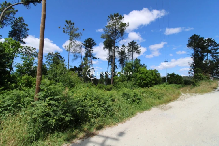 Terreno P/ Prédio para Venda em Orgens Foto 5