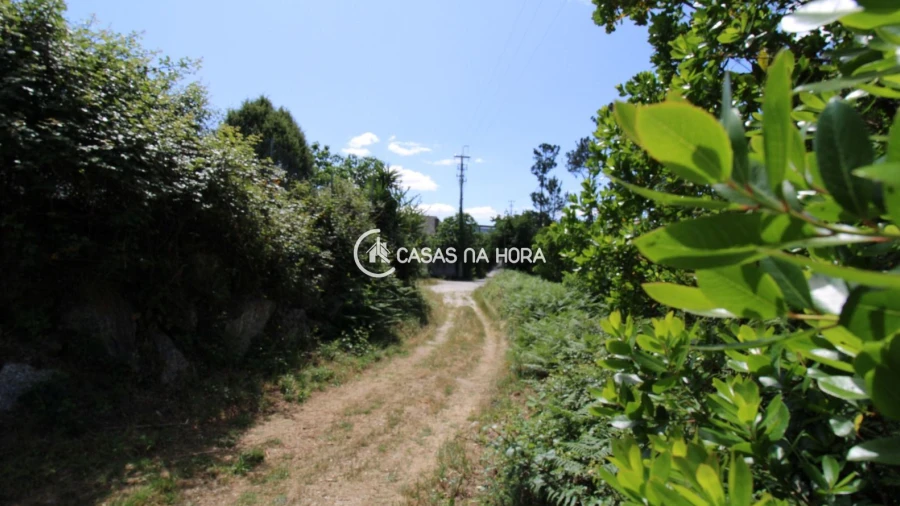 Terreno P/ Prédio para Venda em Orgens