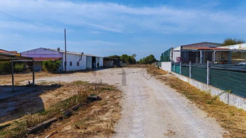 Terreno para Venda em Pinhal Novo