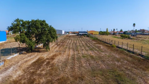 Terreno para Venda em Pinhal Novo