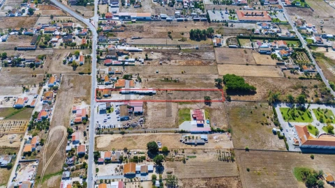 Terreno para Venda em Pinhal Novo