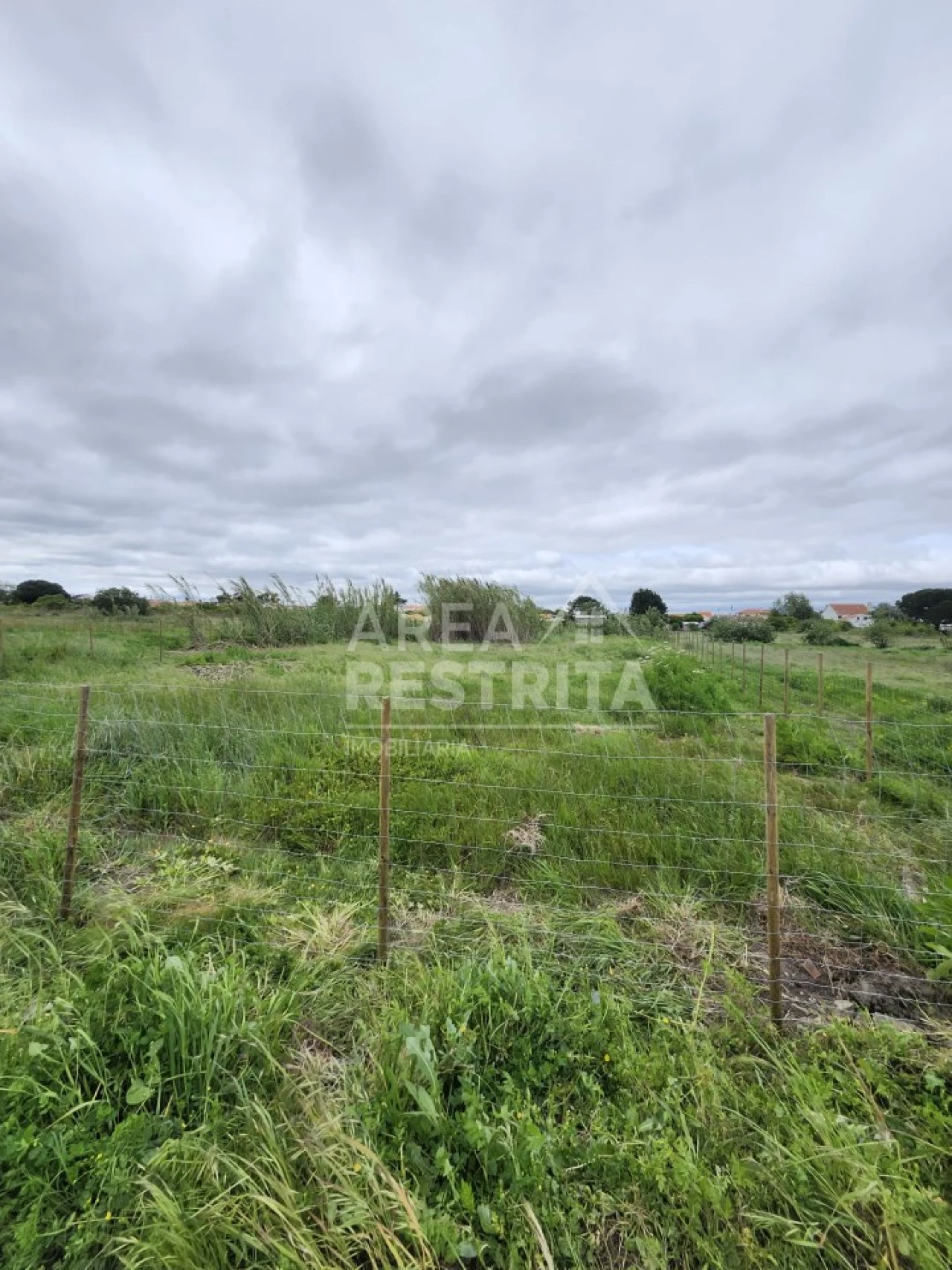 Terreno para Venda em Azeitão (São Lourenço e São Simão) Foto 4