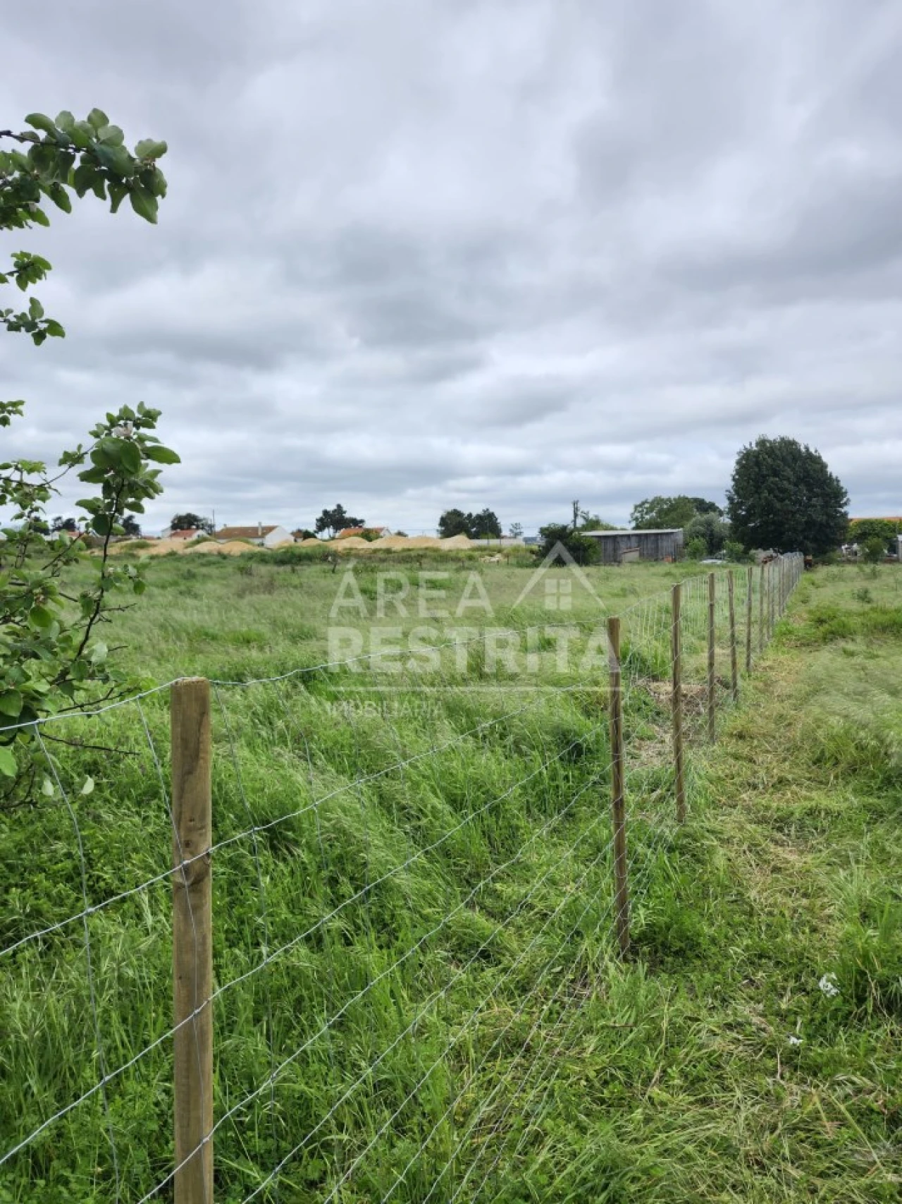 Terreno para Venda em Azeitão (São Lourenço e São Simão) Foto 14
