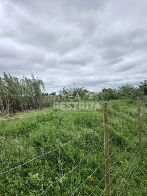 Terreno para Venda em Azeitão (São Lourenço e São Simão)