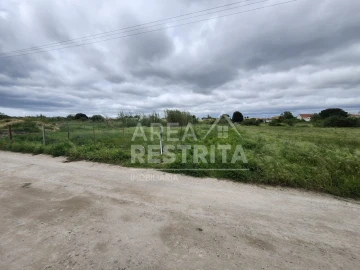 Terreno para Venda em Azeitão (São Lourenço e São Simão)