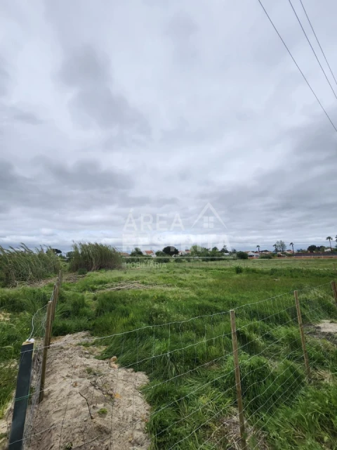 Terreno para Venda em Azeitão (São Lourenço e São Simão)