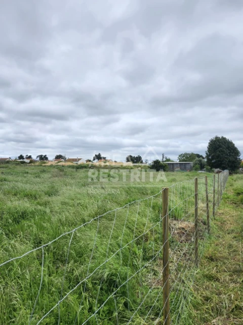 Terreno para Venda em Azeitão (São Lourenço e São Simão)