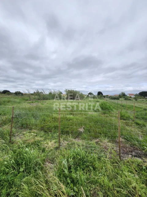 Terreno para Venda em Azeitão (São Lourenço e São Simão)