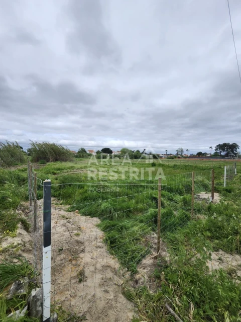 Terreno para Venda em Azeitão (São Lourenço e São Simão)