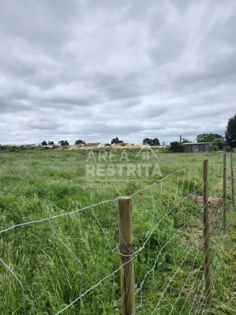 Terreno para Venda em Azeitão (São Lourenço e São Simão)
