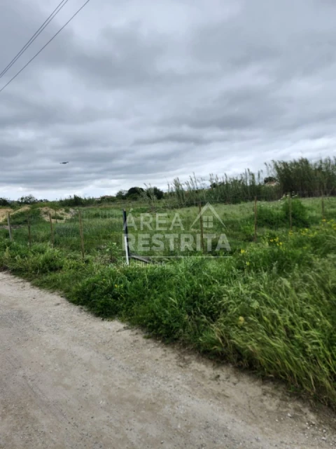 Terreno para Venda em Azeitão (São Lourenço e São Simão)