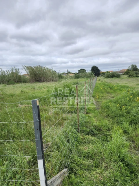 Terreno para Venda em Azeitão (São Lourenço e São Simão)