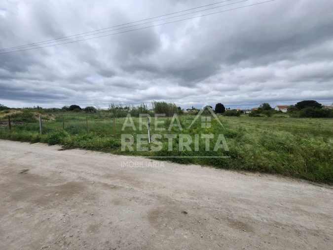 Terreno para Venda em Azeitão (São Lourenço e São Simão) Foto 3