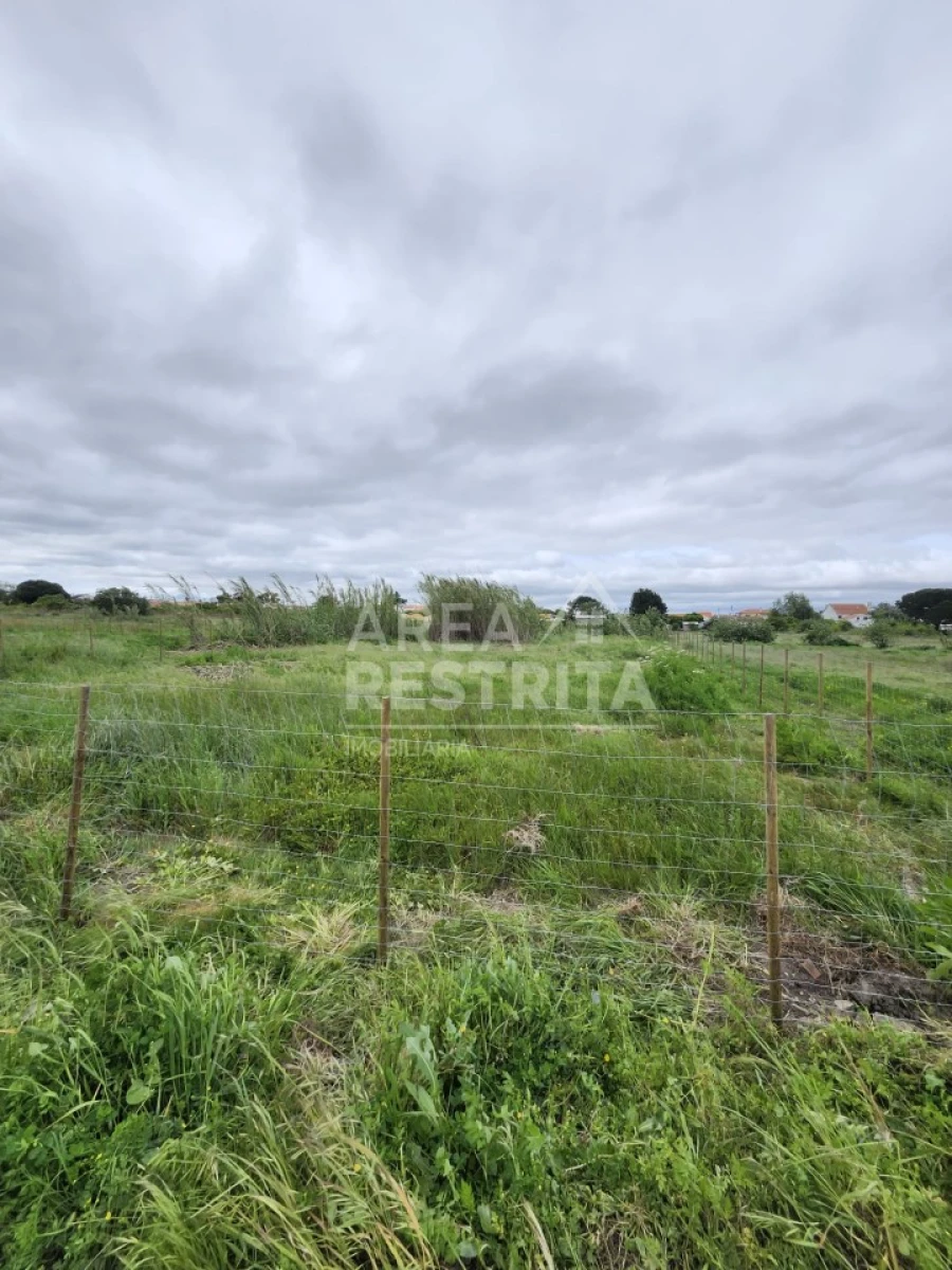 Terreno para Venda em Azeitão (São Lourenço e São Simão) Foto 4