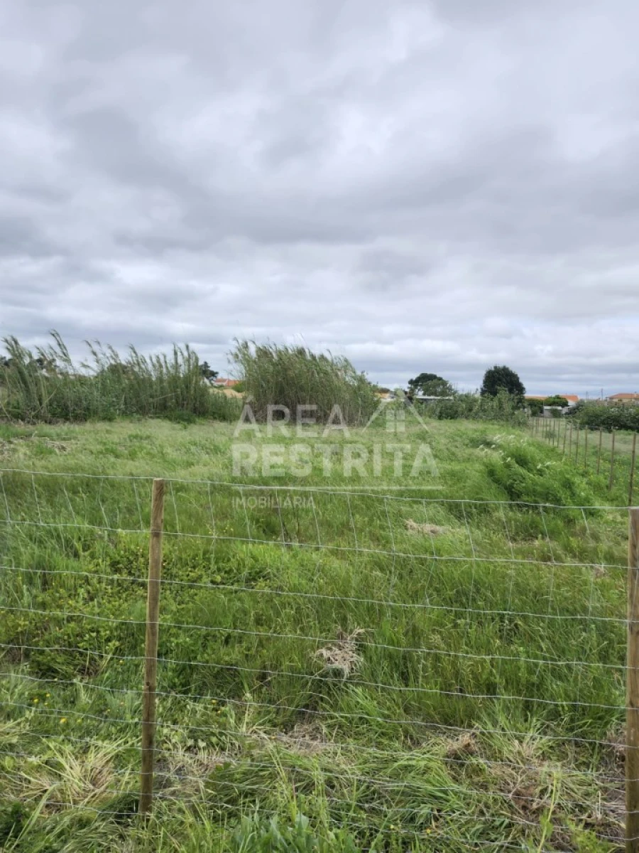 Terreno para Venda em Azeitão (São Lourenço e São Simão) Foto 9