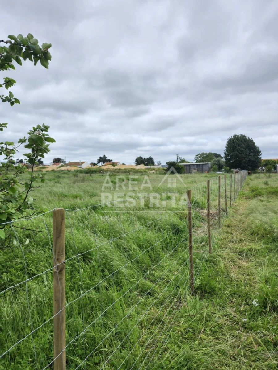 Terreno para Venda em Azeitão (São Lourenço e São Simão) Foto 14