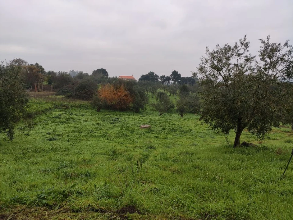 Terreno Agricola ou Rústico para Venda em Atouguia Foto 1