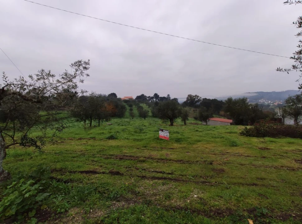 Terreno Agricola ou Rústico para Venda em Atouguia Foto 3