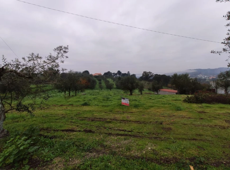Terreno Agricola ou Rústico para Venda em Atouguia Foto 2