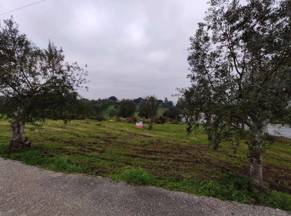 Terreno Agricola ou Rústico para Venda em Atouguia Foto 4