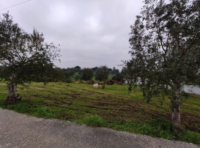 Terreno Agricola ou Rústico para Venda em Atouguia Foto 4